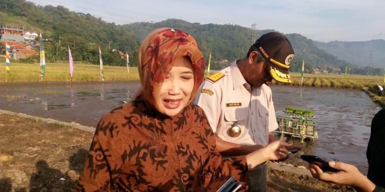 Kepala Badan Karantina Pertanian Banun Harpini, usai acara Gerakan Peningkatan Luas Tambah Tanam dan Serap Gabah Petani di Kutawaringin, Soreang, Bandung, Jawa Barat, Rabu (20/7/2016).