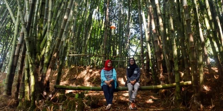 Kampung Bambu Klatakan, Dusun Bojong, Desa Wringinputih, Kecamatan Borobudur, Kabupaten Magelang, Jawa Tengah, diresmikan sebagai obyek wisata pendukung Candi Borobudur, Minggu (4/9/2016).
