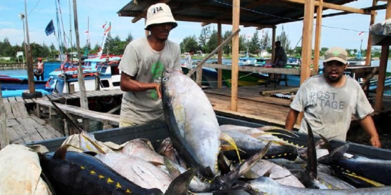 Nelayan merapikan ikan tuna sirip kuning dari kapal ke mobil di Pelabuhan Nelayan Ulee Lheue, Kecamatan Meuraxa, Kota Banda Aceh, sebelum dikirim ke pabrik pengolahan di Medan, Sumatera Utara. Dari Medan, hasil laut Aceh dijual ke luar negeri, antara lain ke Thailand, Korea Selatan, dan Jepang. 