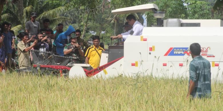 Foto suasana Menteri Pertanian Gelar Panen Raya Padi di Desa Masamba ,Poso Peisisr pada Selasa (13/12/2016)