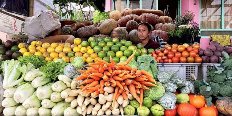 Sayur organik menjadi komoditas unggulan petani di Dusun Sidomukti, Desa Kopeng, Kecamatan Getasan, Kabupaten Semarang, Sabtu (11/2/2017). Sayur itu diekspor ke berbagai kota/kabupaten di Jawa Tengah. 
