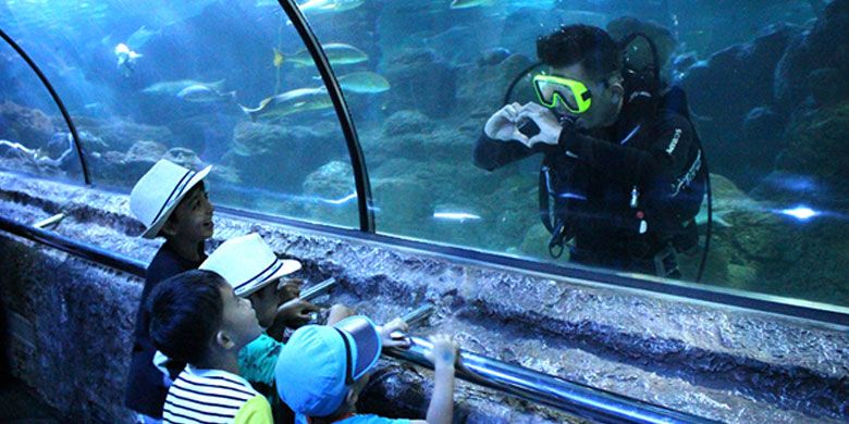 Wahana Under Water Tunnel di Seaworld Ancol. 