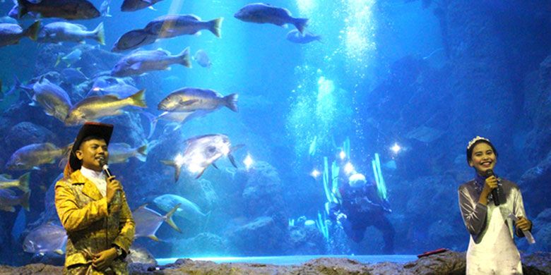 Wahana Main Aquarium di Seaworld Ancol.