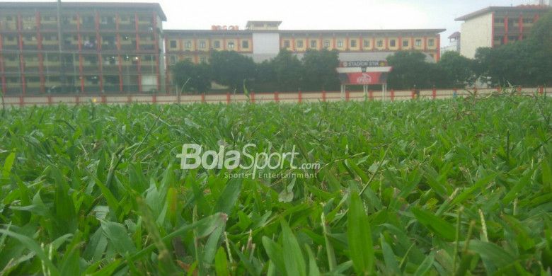 Lapangan di Stadion PTIK menggunakan jenis Rumput Gajah. 