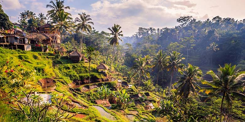 Ubud, wisata anti-mainstream Pulau Dewata