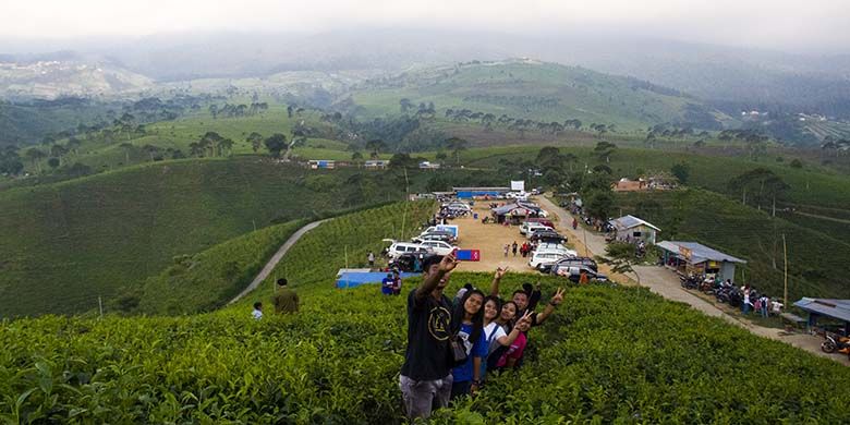 Kebun teh bisa menjadi destinasi wisata yang pas di musim hujan.