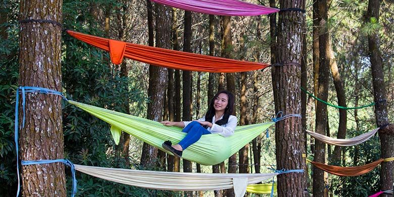 Pengunjung Pinusan Kragilan berfoto di atas hammock