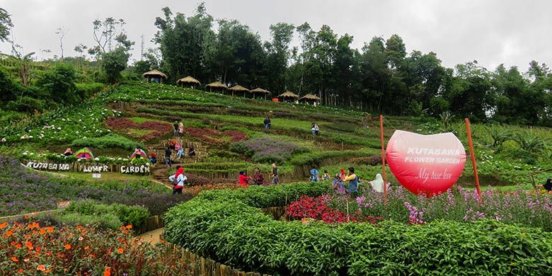 Kutabawa Flower Garden, taman bunga cantik di kaki Gunung Slamet, Jawa Tengah.
