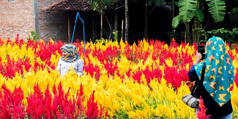 Pengunjung sedang berfoto di Taman Bunga Kebon Asri, Klaten