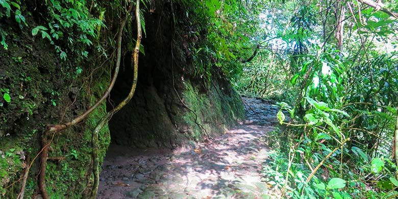 Gua Jepang Kaliurang yang tersembunyi di tengah hutan lereng selatan Merapi