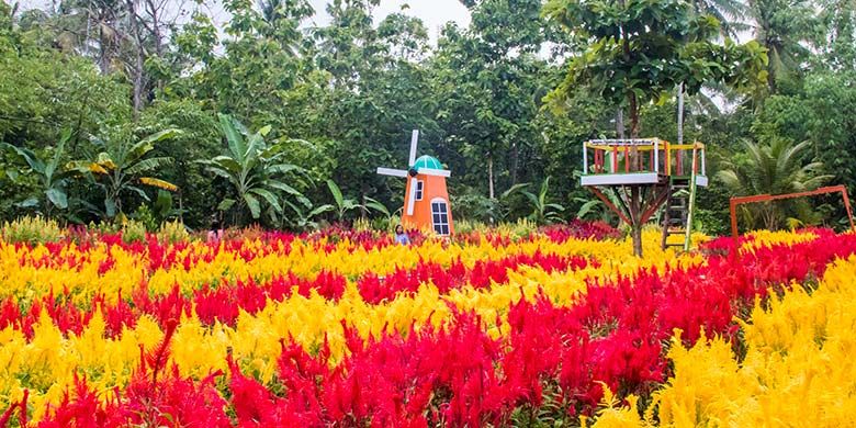 Taman Bunga Kebon Asri di Bayat, Klaten yang bernuansa Negeri Belanda.