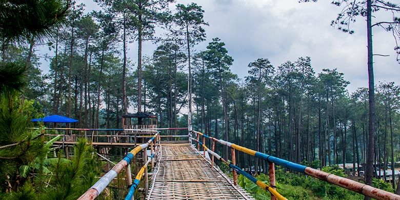 Wahana jembatan di Hutan Wisata Wonoasri Seper (WNS), Wonogiri