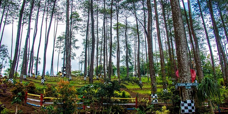 Hutan Wisata Wonoasri Seper (WNS), Wonogiri