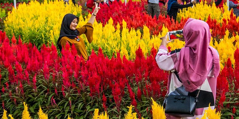 Pengunjung berfoto di Taman Bunga Celosia Ragil Kuning, Simo, Boyolali.