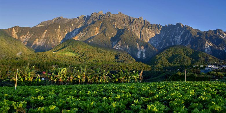 Keindahan alam di kaki Gunung Kinabalu (Dolly MJ/Shutterstock.com)