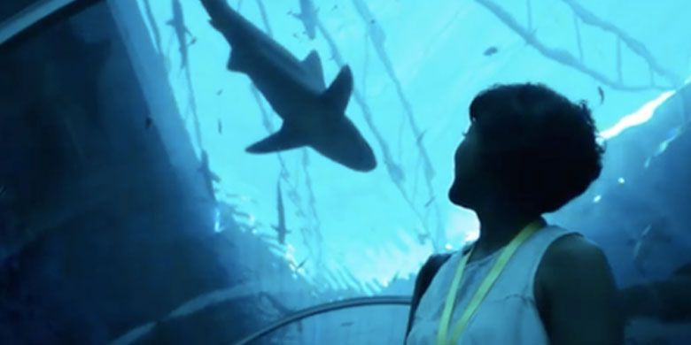 Caption: Keluarga Nirina Zubir menikmati kebersamaan di S.E.A Aquarium, Sentosa Island, Singapura.