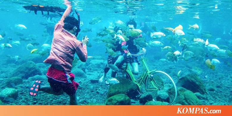 Ini Kata Jokowi tentang Pariwisata Desa Ponggok Klaten
