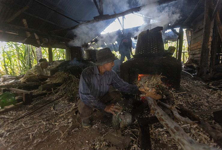 Dukung Industri Kecil hingga Hadirkan Smart Farming, Elektrifikasi Kuatkan Sektor Pangan Nasional