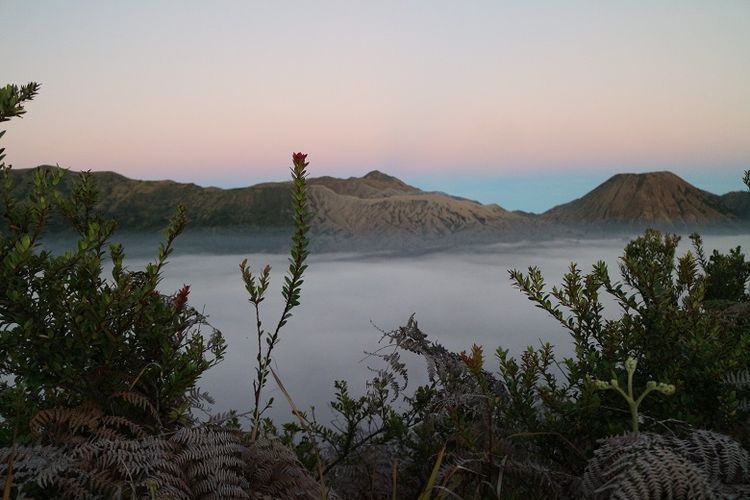 Pemandangan matahari terbit dari Bukit Mentigen, Cemoro Lawang, Desa Ngadisari, Sukapura, Probolinggo, Jawa Timur. Bukit Mentigen adalah salah satu alternatif tempat melihat matahari terbit selain Bukit Penanjakan di Taman Nasional Bromo Tengger Semeru.