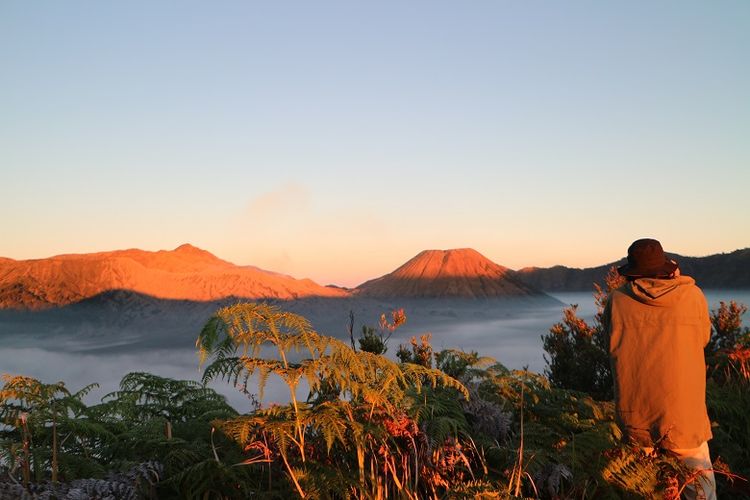 Bukit Mentigen Lokasi Lihat Sunrise Gunung  Bromo Tanpa 