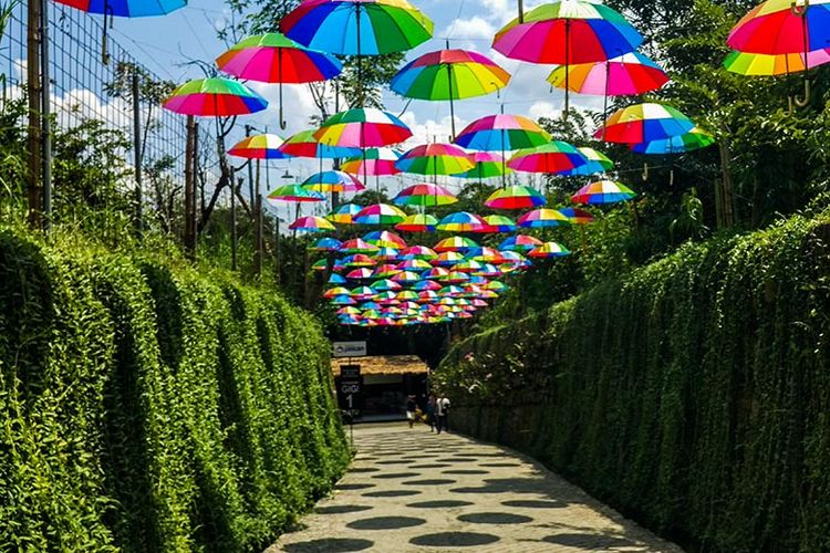 Taman Botani Sukorambi, Jember.