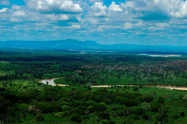 Suaka Margasatwa Selous, Tanzania yang terancam menurut UNESCO