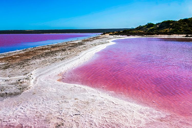 Salah Satu Keajaiban Fenomena Alam di Australia, Danau Merah Muda.