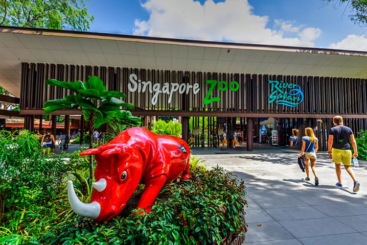 Kebun Binatang Singapura.