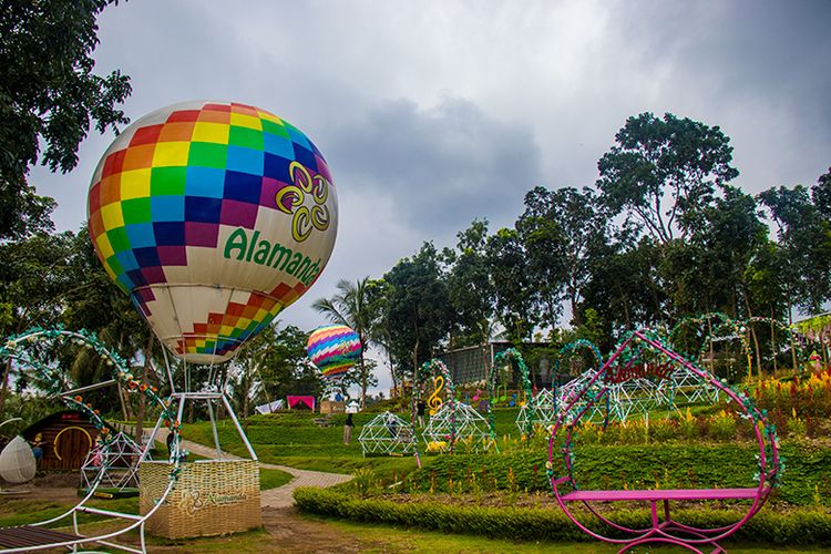 Indahnya Taman  Bunga  Alamanda yang Instagramable  di Jogja