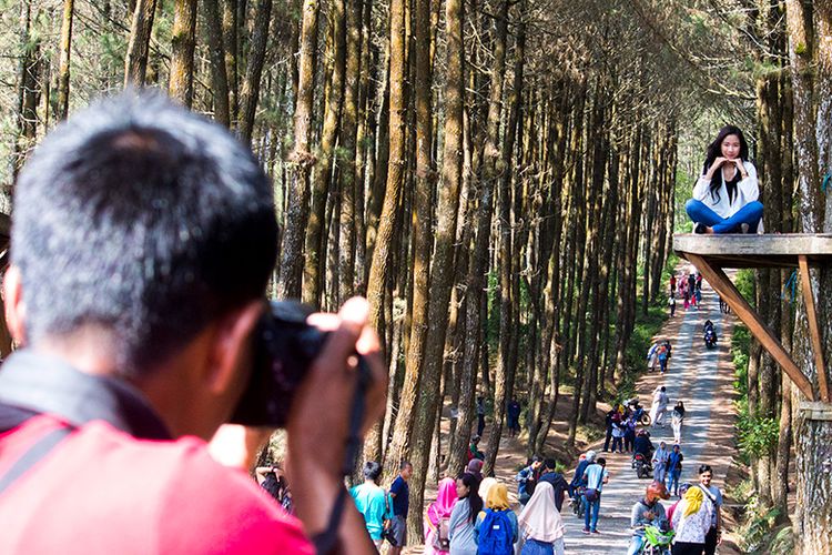 Jasa Fotografer di Wisata Pinus Kragilan, Magelang.