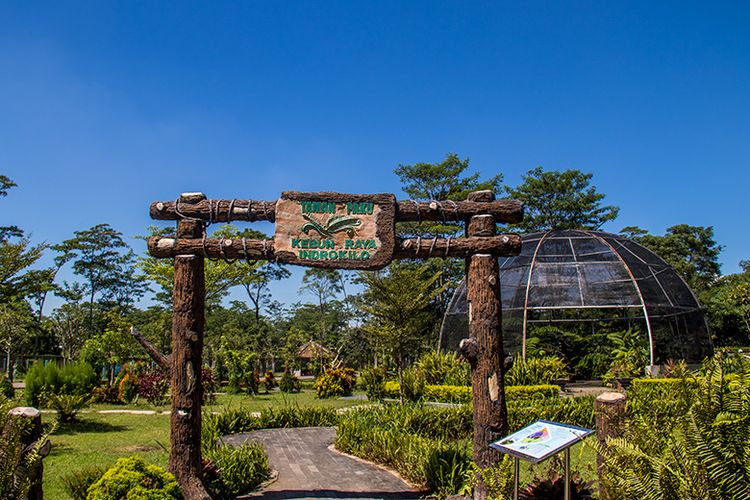 Taman Paku di Kebun Raya Indrokilo, Boyolali.