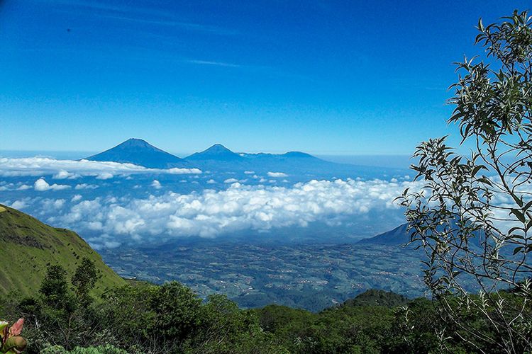 Pemandangan di jalur pendakian Gunung Merbabu via Wekas.