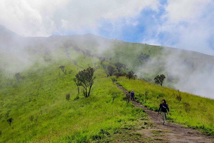 Padang Sabana di Jalur Pendakian Merbabu via Suwanting.