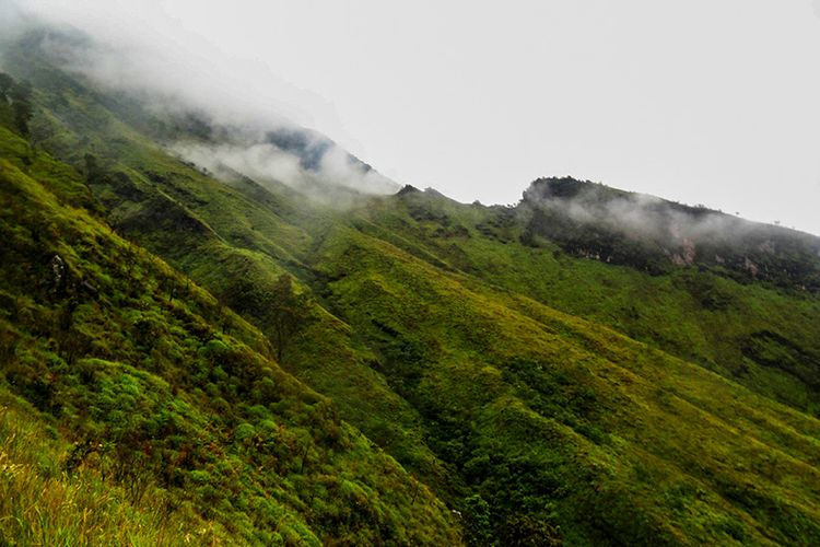 Punggungan Gunung Sumbing yang berselimut kabut.