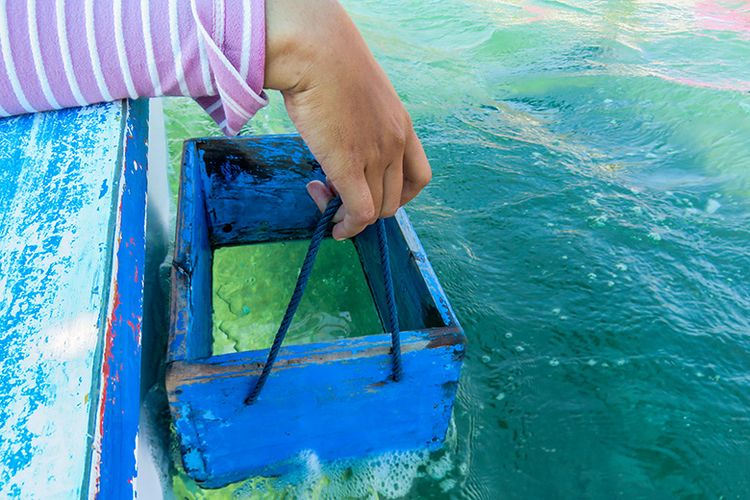 Melihat keindahan bawah laut di Pantai Pasir Putih Situbondo lewat kotak kaca.