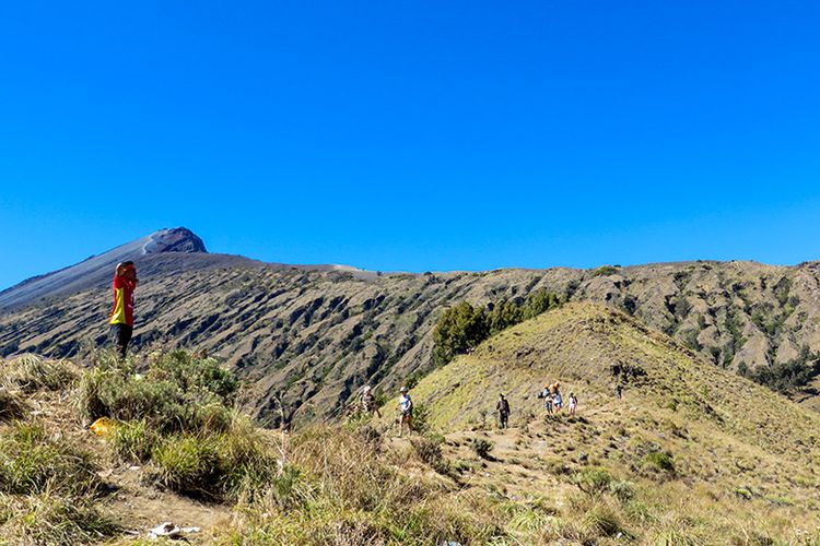 Puncak Gunung Rinjani dilihat dari Plawangan Sembalun.