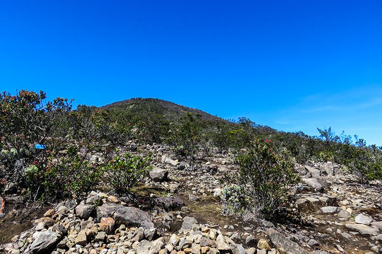 Pasar Dieng atau Pasar Setan di Gunung Lawu.