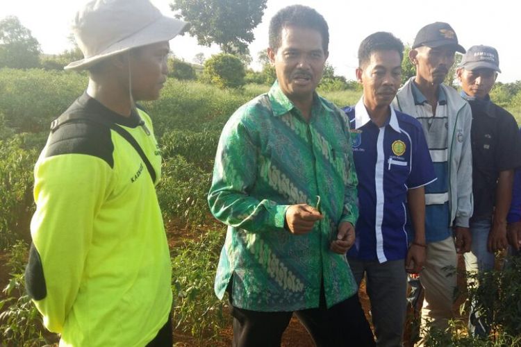 Kementerian Pertanian memantau produksi cabai di Provinsi Sumatera Selatan menjelang bulan Ramadhan. Produksi cabai Sumatera Selatan dipasok ke Pasar Induk Jakabaring dan pasar lainnya di Pulau Sumatera.