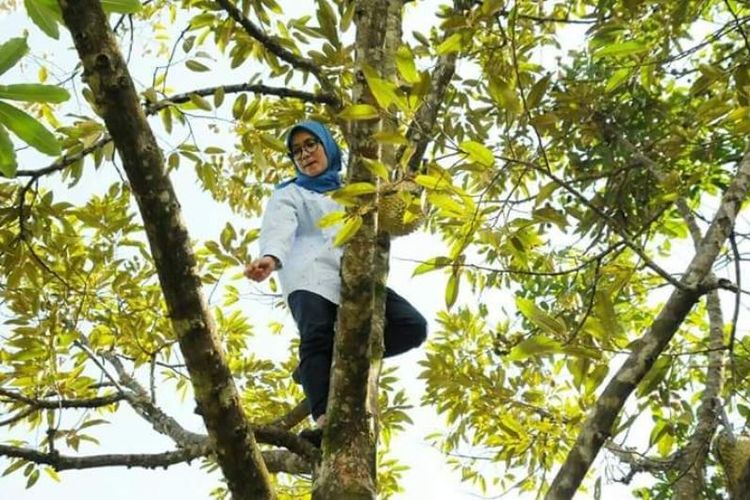 Foto Bupati Lebak Iti Octavia Jayabaya ramai diperbincangkan di media sosial. Foto itu menunjukkan Iti sedang memanjat pohon durian.
