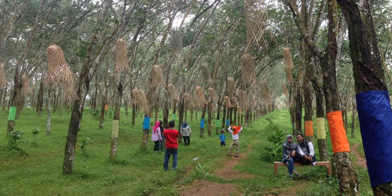 Pasar Karetan, pasar unik ini berada di tengah kebun karet di Kendal, Jawa Tengah, Minggu (28/1/2018). Pasar ini tiap minggu dipenuhi ribuan wisatawan dari berbagai daerah.