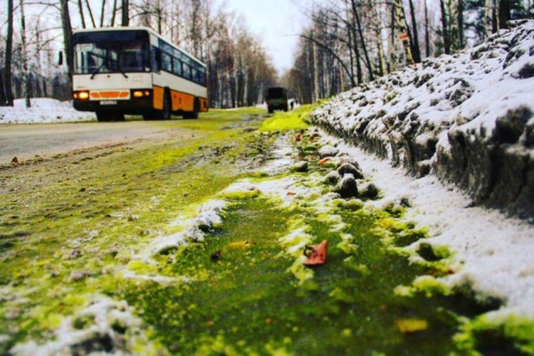 Fenomena salju hijau di kota Pervouralsk, Rusia, akibat polusi. (EAST2WEST NEWS)