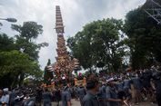 Upacara Ngaben Termegah Digelar di Puri Ubud, Ribuan Orang Tumpah Ruah
