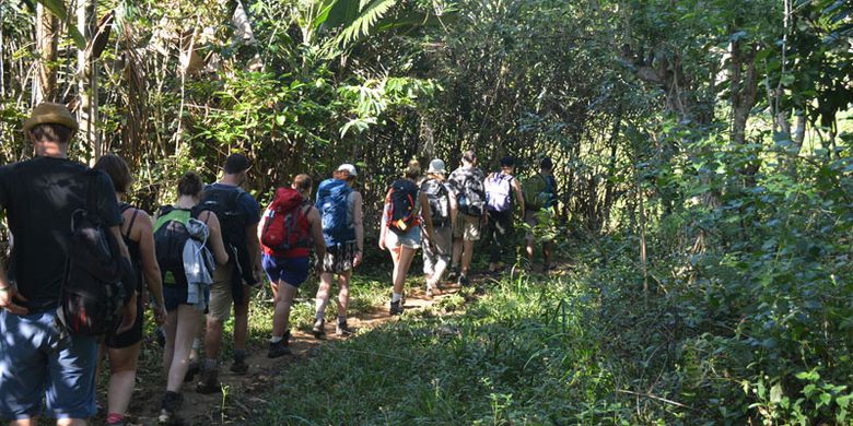 Turis Belgia berjalan di tengah perkebunan warga Mbeling sambil menghirup udara segar yang disuguhkan alam Mbeling, Desa Gurung Liwut, Kecamatan Borong, Manggarai Timur, Flores, NTT, Senin (14/8/2017). Turis sangat menikmati keaslian alam di kawasan hutan Mbeling dan persawahannya. 