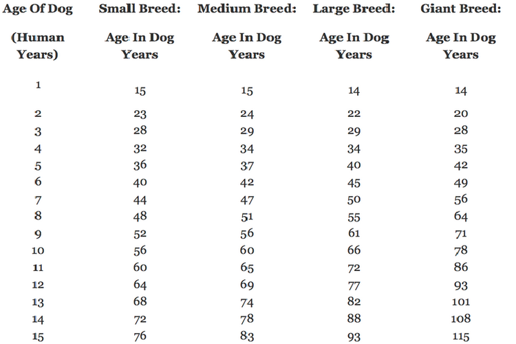 Bagan umur anjing dibandingkan dengan umur manusia
