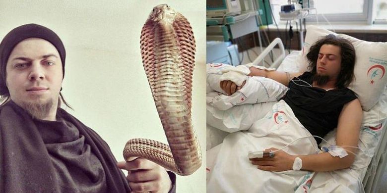Pesulap bernama Aref Ghafouri menerima perawatan di rumah sakit di Kairo, Mesir, setelah digigit ular kobra. (Hurriyet Daily News)