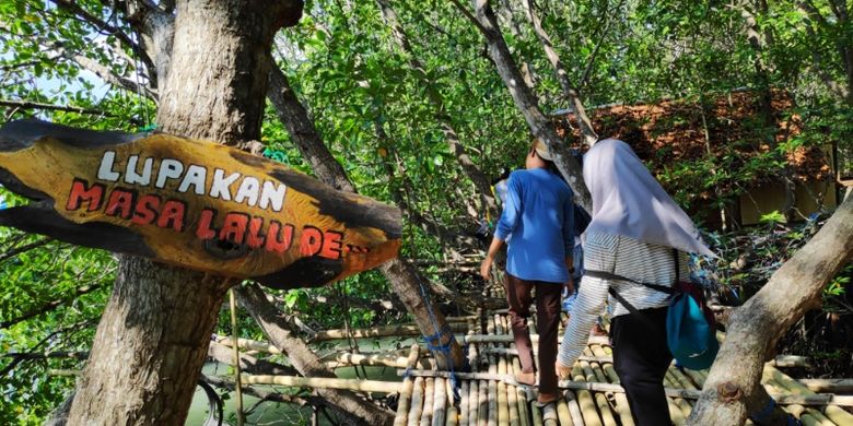 Wisata Hutan Mangrove Donggala, Sulawesi Tengah.