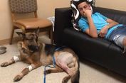 Meski Ditembak 4 Kali, Anjing Ini Lindungi Majikannya dari Perampok