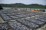 Siapa yang Tak Kenal Ikan Asin Lhok Seudu...
