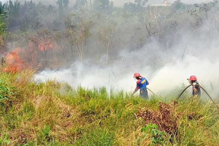 Kebakaran terjadi di jalur pendakian Gunung Rinjani, Lombok, Nusa Tenggara Barat (NTB). 