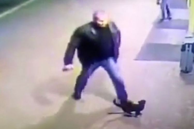 Dalam foto yang diambil dari rekaman CCTV ini terlihat pria yang diketahui kemudian adalah seorang tentara tengah menghampiri seekor kucing yang akan ditendangnya.